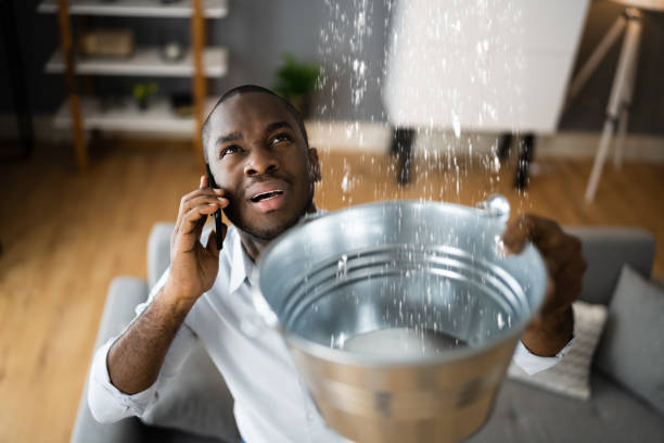 Best Basement water damage restoration  in Franklinton, LA