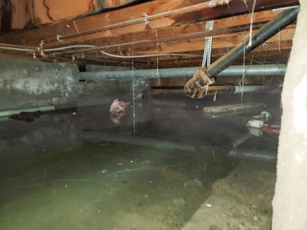 Best Flood damage cleanup  in Franklinton, LA