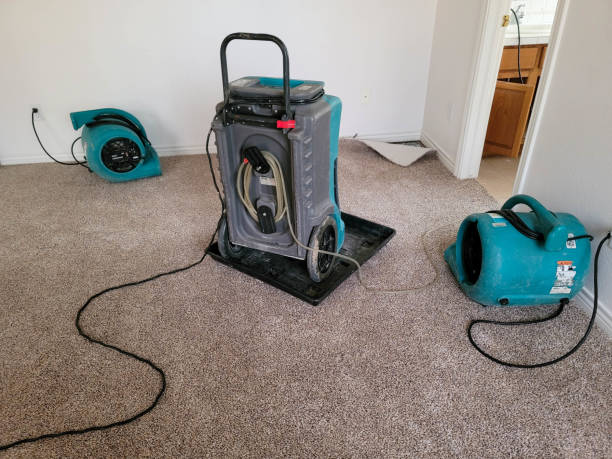 Sewage cleanup and water damage restoration in LA