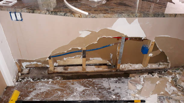Best Fire Damage Restoration  in Franklinton, LA
