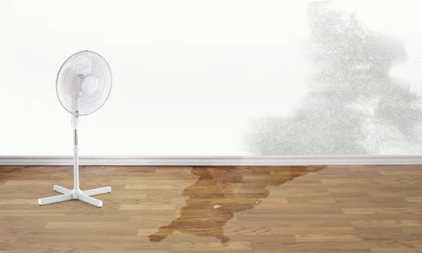 Best Water damage restoration near me  in Franklinton, LA