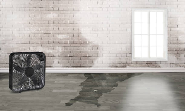 Best Residential water damage restoration  in Franklinton, LA