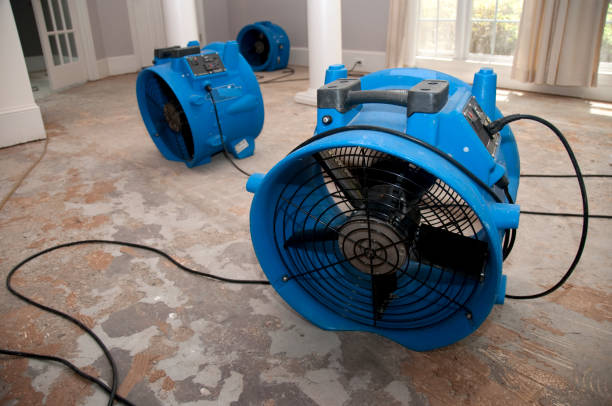 Best Fire Damage Restoration  in Franklinton, LA