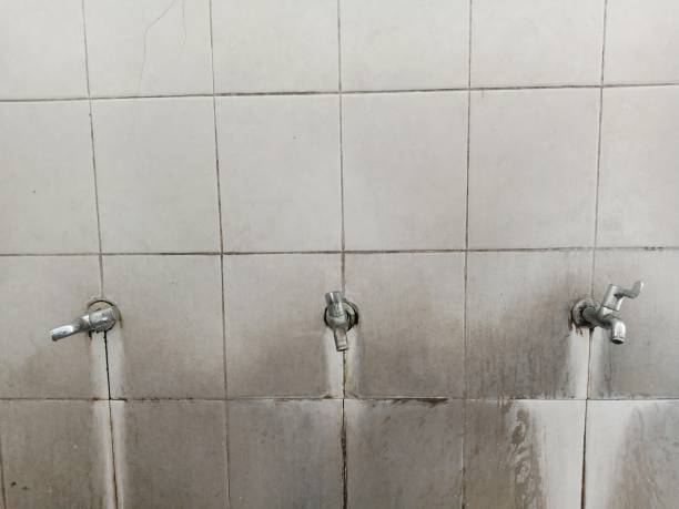 Professional Water damage restoration in LA