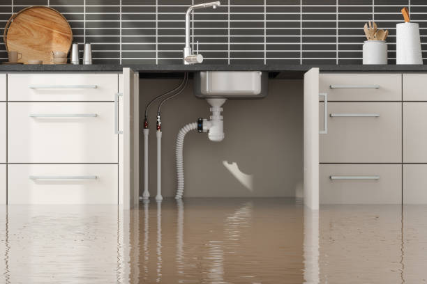 Best Sewage cleanup and water damage restoration  in Franklinton, LA