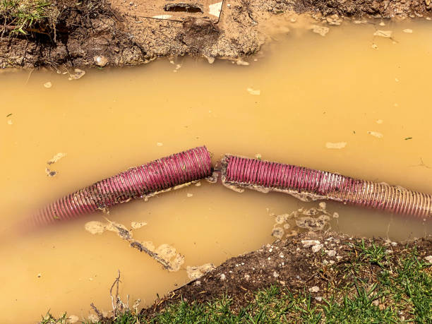  Franklinton, LA Water damage restoration Pros